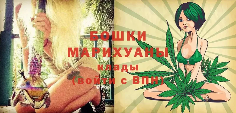 что такое наркотик  Саранск  Каннабис OG Kush 